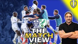 The Match View: Leeds 4-0 Norwich. Play Off Semi Final