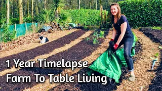 1 Year On Our Land Timelapse | Self Sufficient UK Farmstead