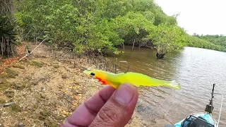 A CLÁSSICA PESCARIA COM CAMARÃO ARTIFICIAL. O UltraLight cantou.