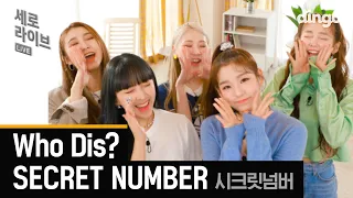 Makes us question their second debut, Secret Number’s jaw dropping video - ‘SECRET NUMBER - Who Dis’