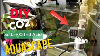 [Tutorial] How To DIY CO2 For Aquascape Using Baking Soda & Citrid Acid