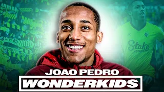 João Pedro: Brighton’s Next Superstar! | Wonderkids
