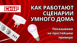 Как работают сценарии умного дома: показываем на простейшем примере