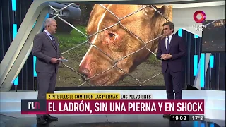 Dos pitbulls le comieron las piernas a un ladrón