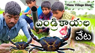 పీతల ( ఎండ్రికాయల ) వేట Village Crabs hunt |My Village Show | Manu Videos || Mana Village Show