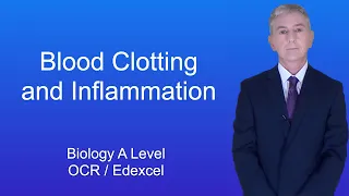 A Level Biology Revision "Blood Clotting and Inflammation"