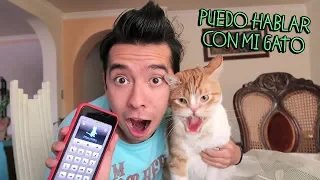 Hablo con mi Gato por una APP del Celular y Me Muerde los Brazos - VLOG #79