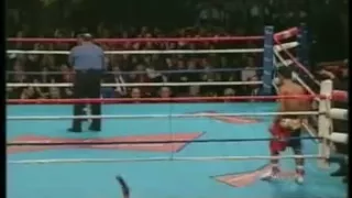 Pacquiao vs Sanchez (Part II) - November 2001