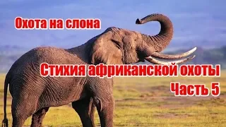 Стихия африканской охоты | Часть 5