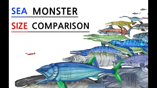 Size Comparison 02 | Sea MONSTER size comparison