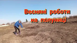 ВЕСНА ІДЕ,РОБОТУ НЕСЕ.Обрізала троянди,весняні роботи на часнику