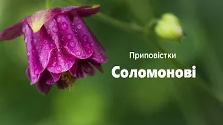 Приповістки Соломонові | Старий заповіт | Біблія | Українська