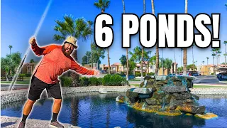 Fishing 6 APARTMENT COMPLEX Ponds! (Urban Adventure)