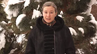 Екатерина Шульман: Новогоднее обращение 2019