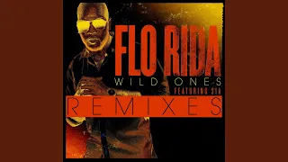Wild Ones (feat. Sia) (Project 46 Remix)