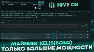 Майнинг Xelis (XLS) в SOLO  на HIVE OS. Кошелек, нода, майнинг, разгон | Только большие мощности