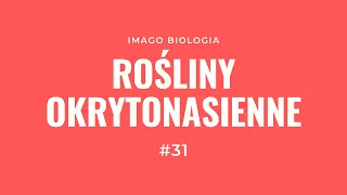 Rośliny okrytonasienne