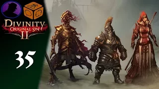 Let's Play Divinity Original Sin 2 - Part - 35 - Flaming Pigs & Puns!