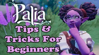 Tips & Tricks I WISH I Knew Sooner Before Playing Palia!! (Beginners Guide)