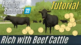 FS22 Tutorial: Getting rich with Beef Cattle