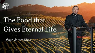 The Food That Gives Eternal Life by Msgr. James Shea