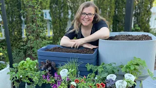 Beautiful Container Garden Vegetables