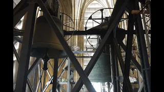 Köln - Hohe Domkirche St. Petrus und Maria: Glockenkonzert