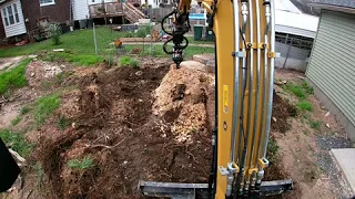 Cat 305e2 With Stump Planer Removing a Large Oak Stump