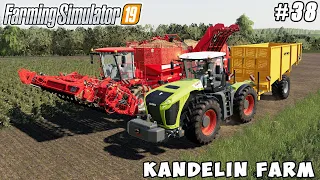 Harvesting potatoes, building potatohall | Kandelin Farm | Farming simulator 19 | Timelapse #38