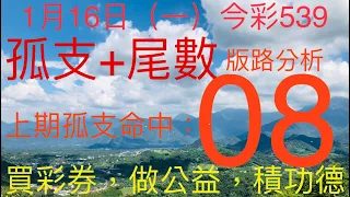 今彩539｜孤支+尾數｜牛哥539｜2023年1月16日（一）今彩539尾數版路分析｜#539