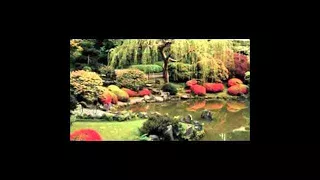 Relaxing Zen Music: Meditation, Nature Sounds, Birdsong, Stream, De- stress