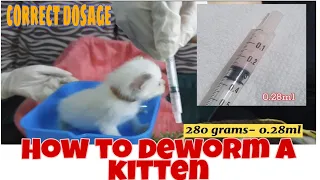 HOW TO DEWORM A KITTEN.