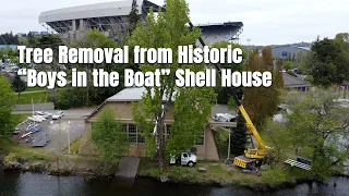 Tree Removal from Historic "Boys in the Boat" Shell House