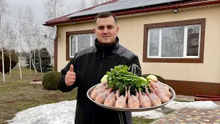 SHASHLIK from QUAILS in a large amount of AROMATIC GREENS