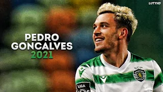 Pedro Gonçalves 2021 - Magic Skills, Goals & Assists | HD