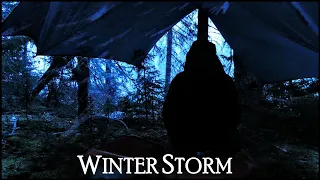 2-Night Winter Storm Solo in the Hammock