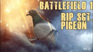 Battlefield 1 - Pigeon Crash