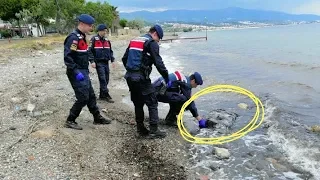 ТАКОЕ НАХОДЯТ ОЧЕНЬ РЕДКО И НИКОМУ НЕ ПОКАЗЫВАЮТ.