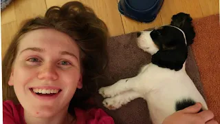 ARLO'S FIRST DAY AT HOME - PUPPY DIARIES