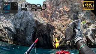 Dangerous spots for SpearFishing in northern Evia😱