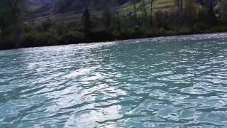 Crescent Lake, Alaska bear encounter while fishing