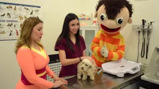 La Visita al Veterinario - El Show de Bely y Beto