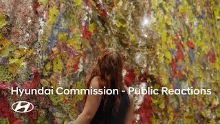 Hyundai Commission - Public Reaction