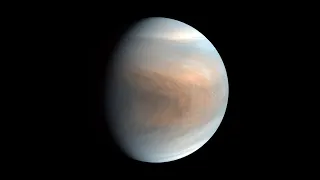 Life on Venus?