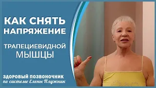 Снимаем напряжение в шее и трапециевидной мышце. Освобождаем кровоток к мозгу| Елена Плужник