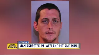 Lakeland man arrested for hit and run involving girl, 11