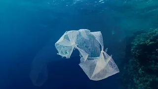 plastic bag by nick cope