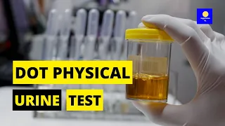 DOT Physical Urine Test 🏥 ⚕️ 👩🏻‍⚕️ 🇺🇸 ⛟