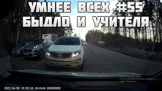 УМНЕЕ ВСЕХ #55. БЫДЛО И УЧИТЕЛЯ НА ДОРОГЕ