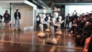 5 dancing Pepper